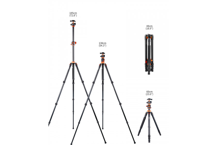 Штатив K&F Concept T254A4 + BH-28L KF09.090V1