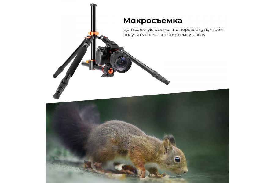 Штатив K&F Concept T254A4 + BH-28L KF09.090V1