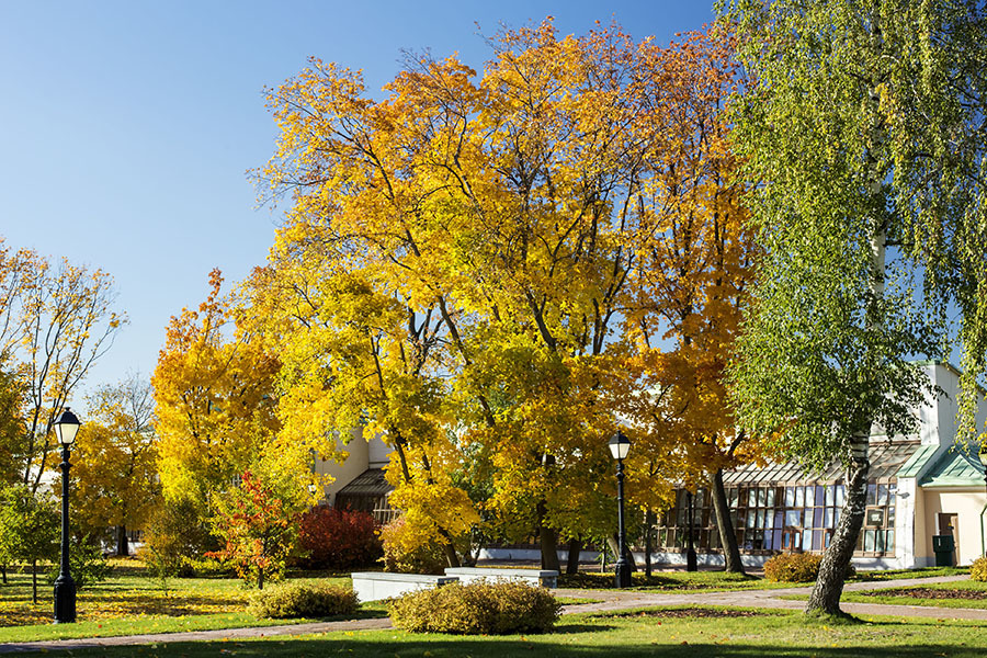 Объектив Olympus OM-System Zuiko Auto-S 50mm f/1,8