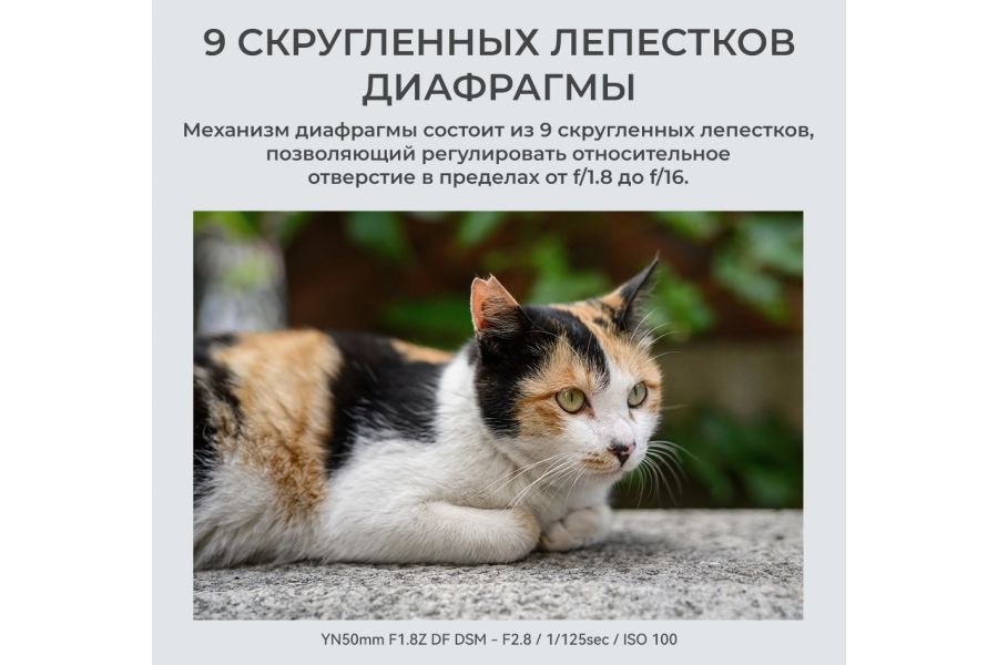 Объектив YongNuo 50mm F1.8Z DF DSM для Nikon Z