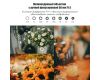 Объектив AstrHori 50mm f/1.4 Full-frame Tilt Lens для Sony E