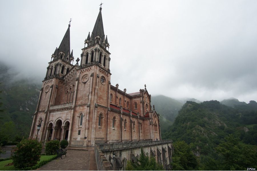 Объектив Samyang AF 12mm F2 E