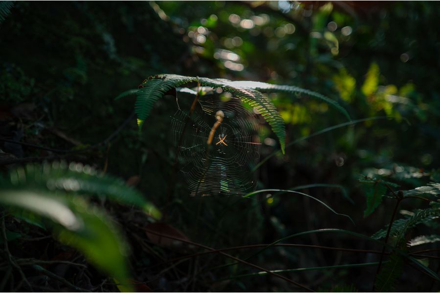 Объектив Viltrox 40mm f/2.5 для Nikon Z