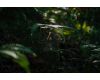 Объектив Viltrox 40mm f/2.5 для Nikon Z