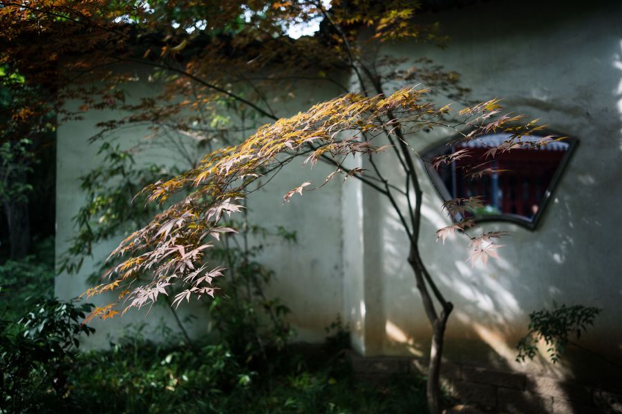 Объектив Viltrox 28mm F1.8 для Sony E