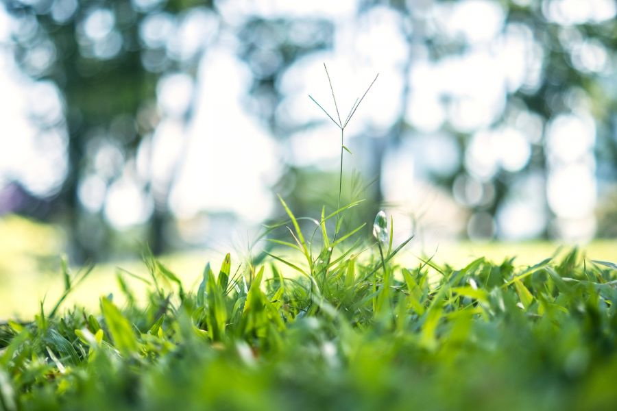 Объектив Viltrox AF 33mm f/1.4 для Fujifilm FX