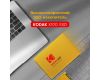 SSD накопитель портативный Kodak X100 960GB