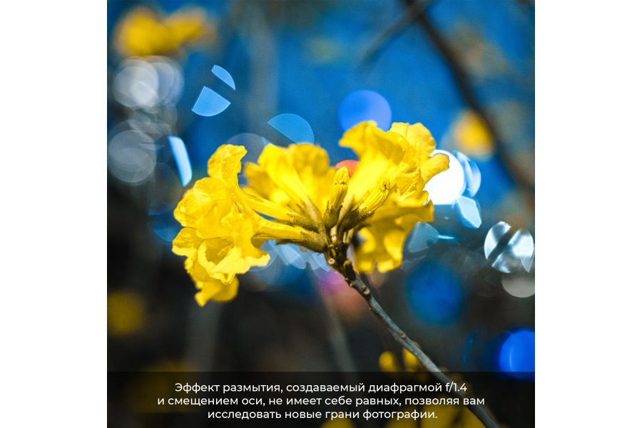 Объектив 7artisans Tilt-Shift 50mm F1.4 Sony E