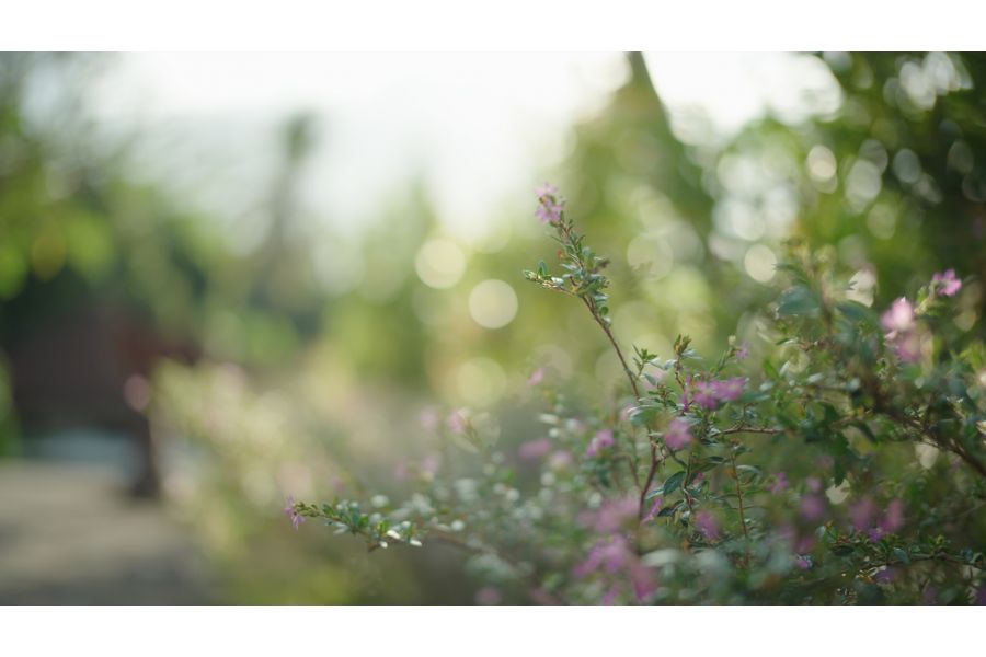 Кинообъектив 7Artisans 35mm T2.0 для Sony E Металл