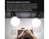 Осветитель Godox LITEMONS LC30D