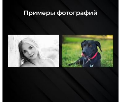 Стандартный объектив Canon EF 50mm f/1.8 STM