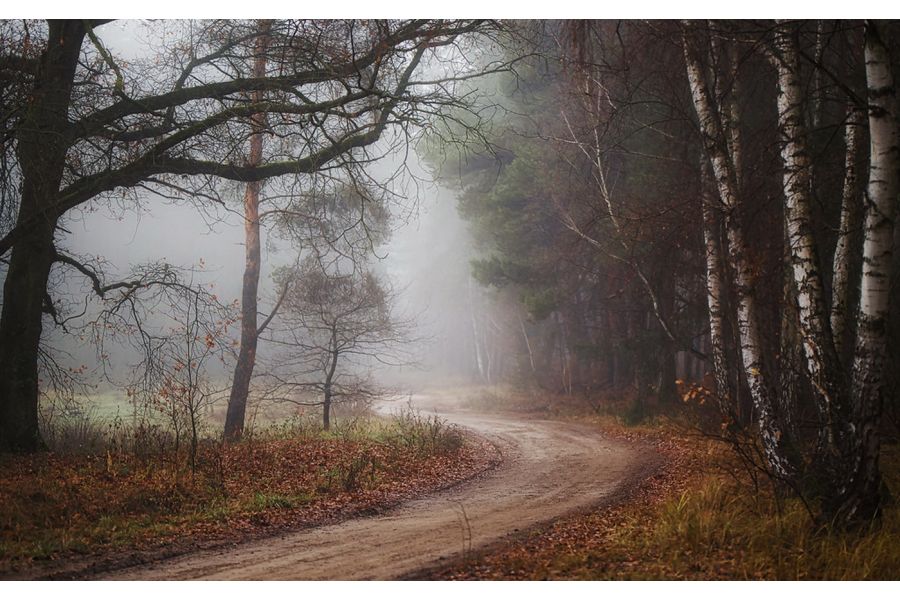 Tamron SP AF 85mm f/1.8 Di VC USD (F016) Sony A (Japan)