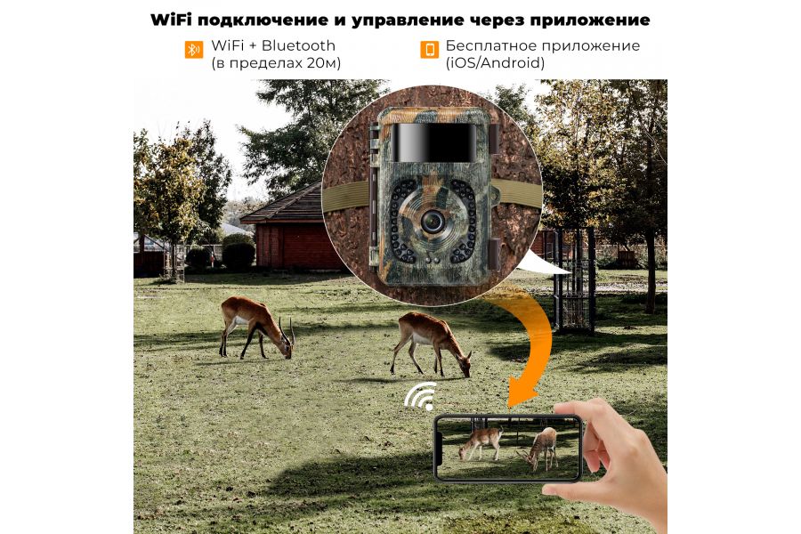 Камера-ловушка K&F Concept KF35.127S1