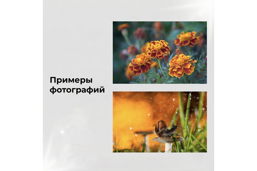 Новый макрообъектив Индустар 100У 110мм f4