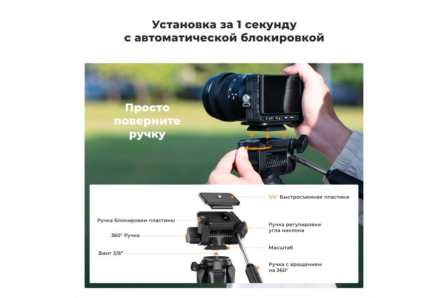 Штатив K&F Concept S254A3 + BV01 KF09.154