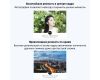 Объектив YongNuo 33mm F1.4Z DA DSM WL Pro Sony E