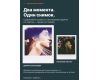 Фотоаппарат моментальной печати Polaroid Now+ Generation 3 Оранжевый