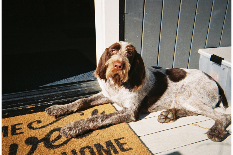 Камера многоразовая пленочная Kodak F8 Желтый