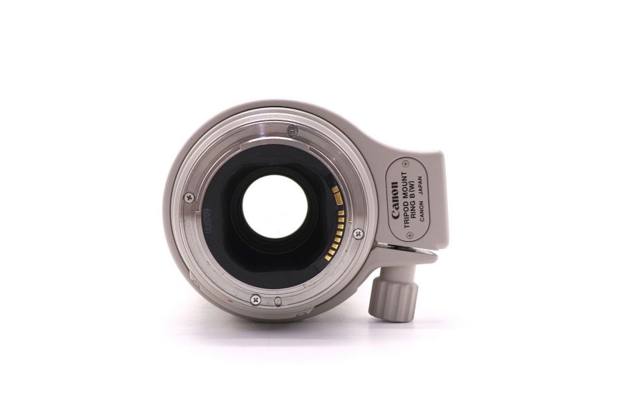 С быстрой фокусировкой Canon EF 300mm f/4L IS USM