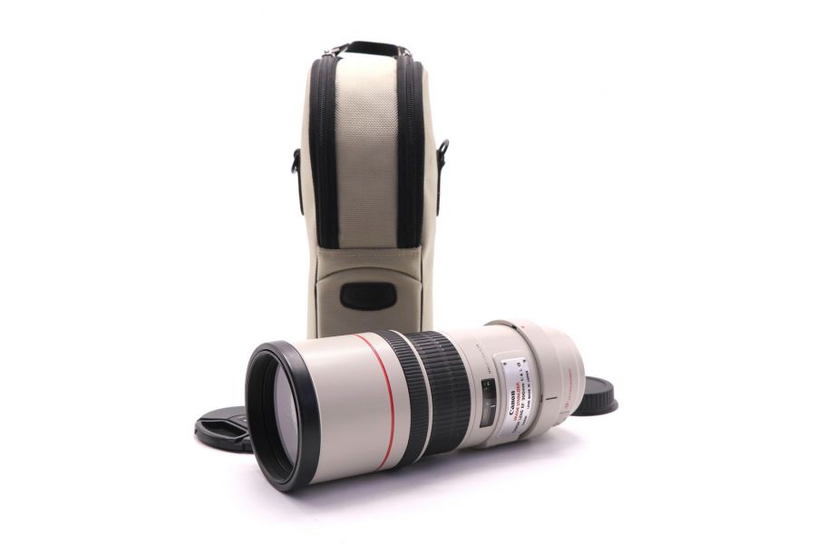 С быстрой фокусировкой Canon EF 300mm f/4L IS USM