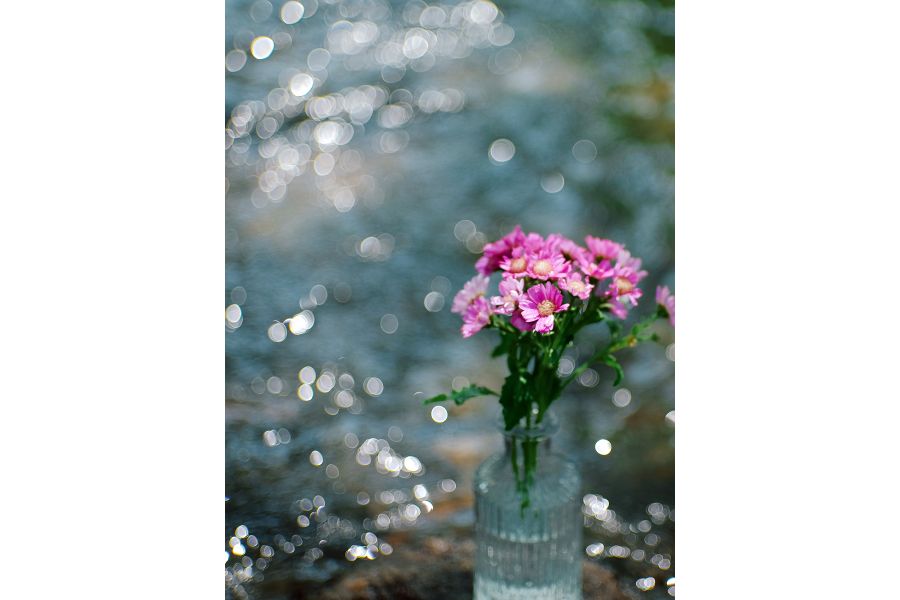 Объектив 7Artisans AF 35mm F1.4 Fuji FX Mount