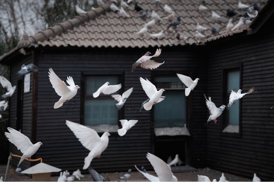 Объектив 7Artisans AF 85mm F1.8 Panasonic Leica (L Mount)