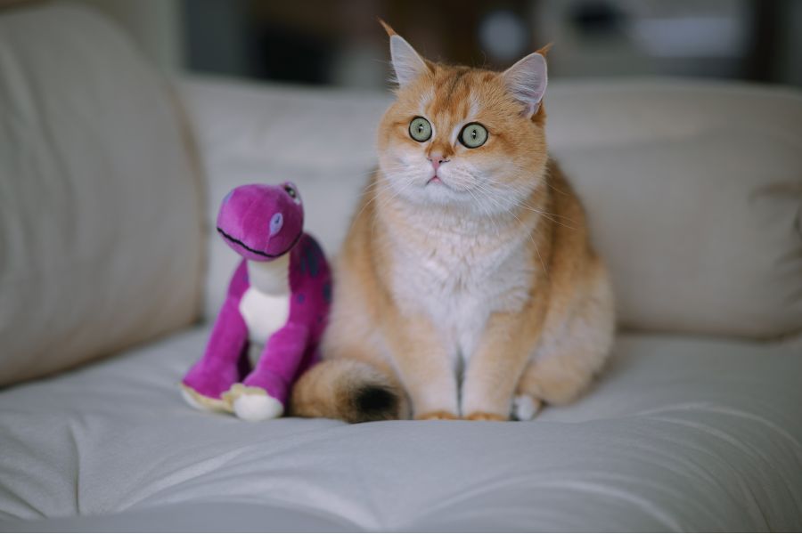 Объектив 7Artisans AF 85mm F1.8 Panasonic Leica (L Mount)