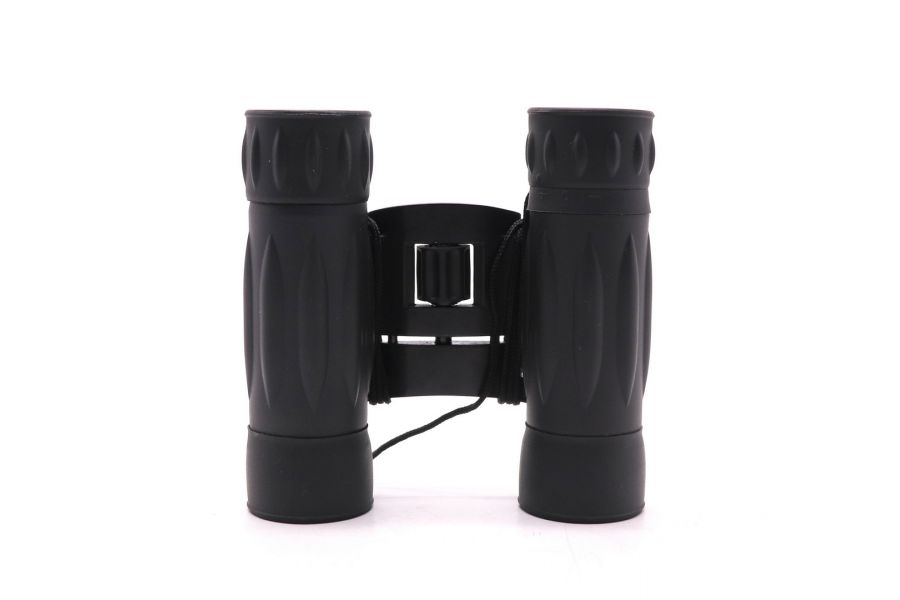 Бинокль Levenhuk Atom 10x25