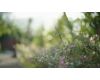 Кинообъектив 7Artisans 35mm T2.0 для Nikon Z
