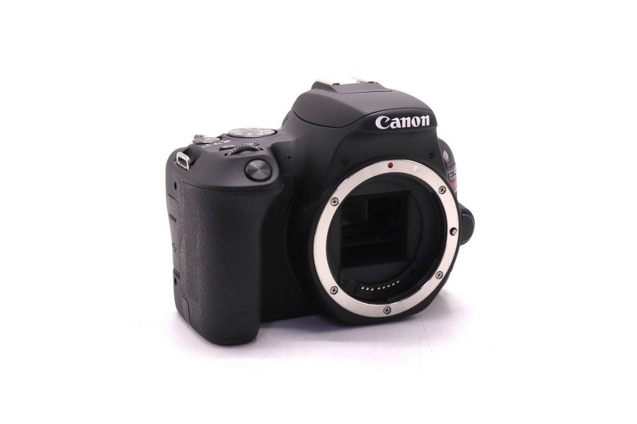 Canon EOS Rebel SL2 body (пробег 650 кадров)