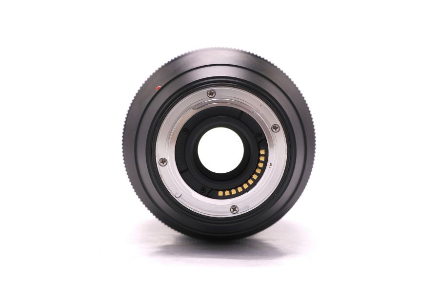 Panasonic Leica DG Vario Summilux 10-25mm F/1.7 (H-X1025E)