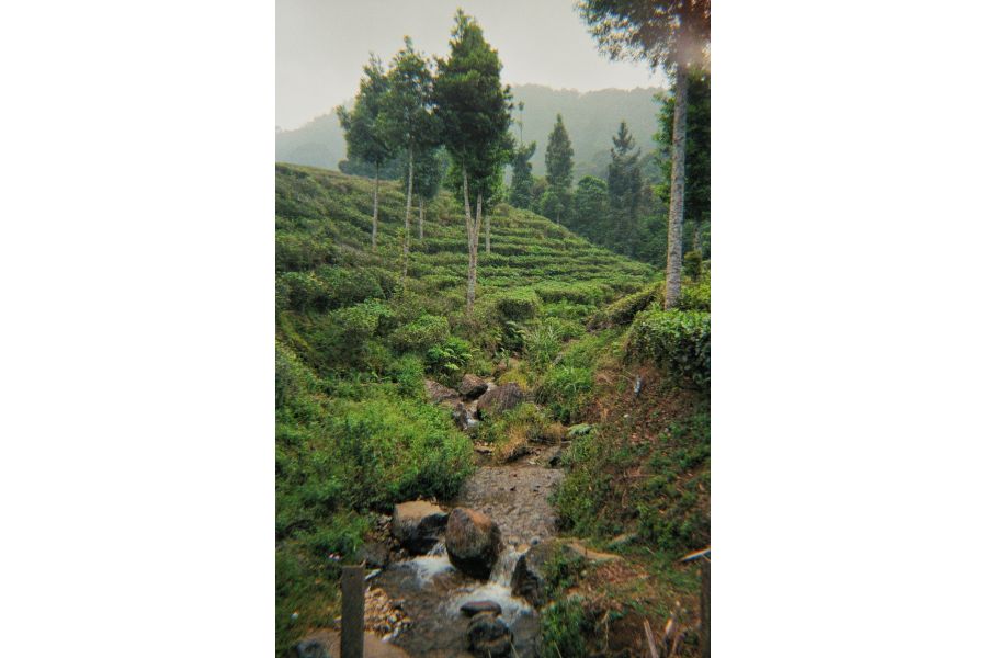 Фотоаппарат пленочный KODAK M38 Оранжевый