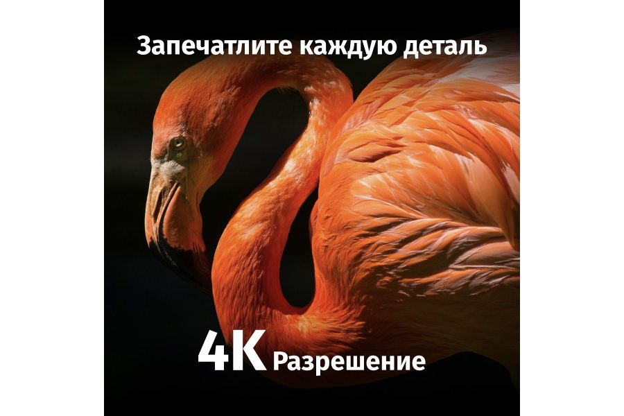 Камера ловушка K&F Concept KF35.136 Новая