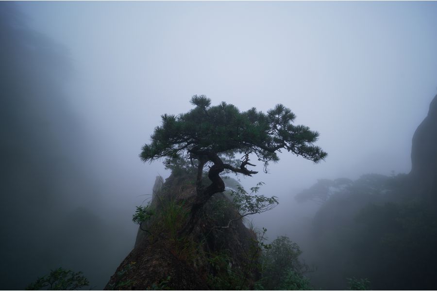 Объектив 7Artisans 14mm F2.8 Full-frame для Canon RF