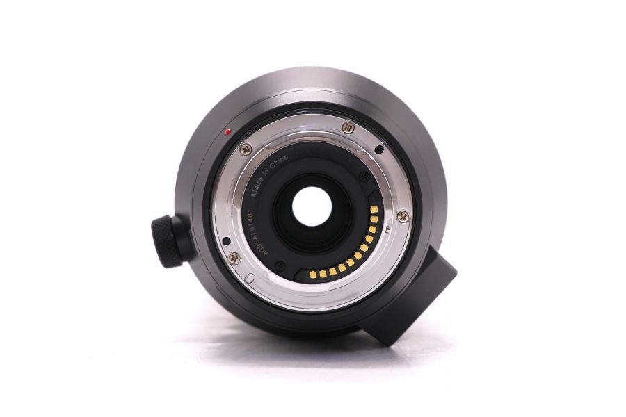 Объектив Panasonic Leica DG Vario-Elmar 100-400mm f/4-6.3 ASPH. POWER O.I.S.