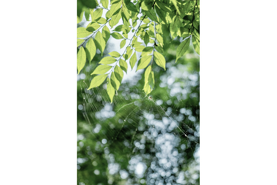 Объектив 7Artisans AF 35mm F1.8 Sony E APS-C