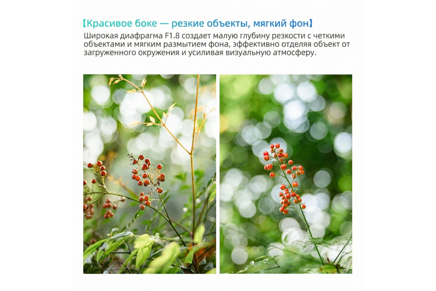 Объектив 7Artisans AF 35mm F1.8 Sony E APS-C