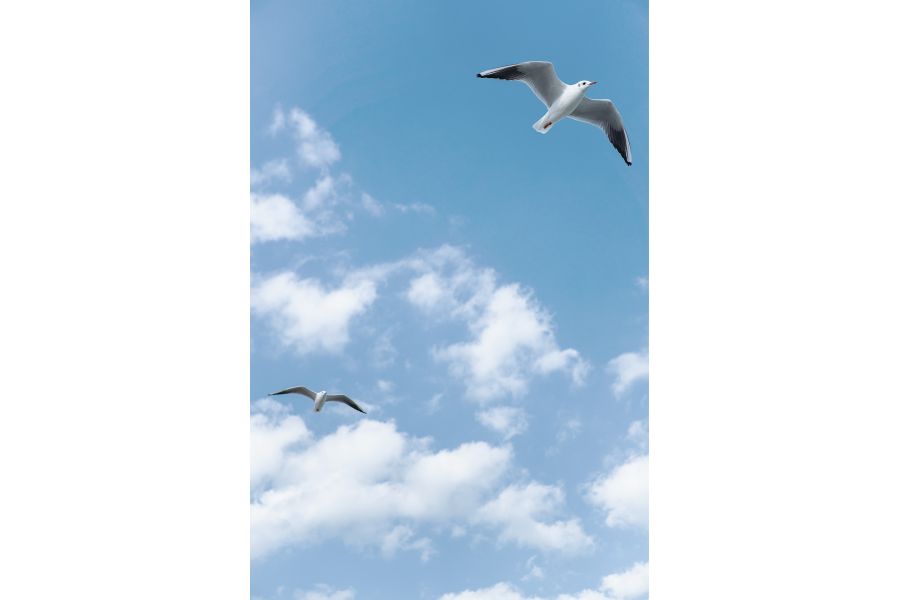 Объектив 7Artisans AF 35mm F1.8 Fujifilm FX Mount APS-C