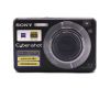 Компактный фотоаппарат Sony Cyber-shot DSC-W125