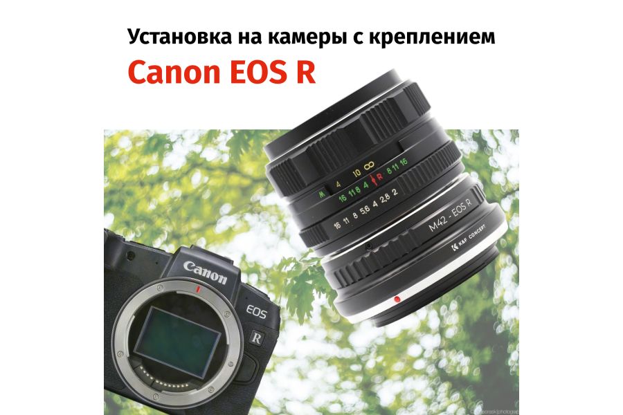 Гелиос-44М-4 58mm f/2 + премиум адаптер K&F Concept для Canon EOS R – Теплый контраст