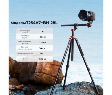 Штатив K&F Concept T254A7 + BH-28L KF09.119 (2026)