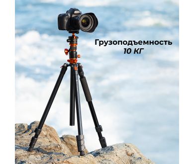 Штатив K&F Concept T254A7 + BH-28L KF09.119 (2026)