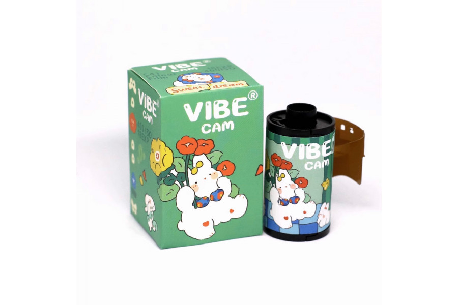 Фотопленка VIBE CAM ISO 400 формат 135 (18 кадров) C41