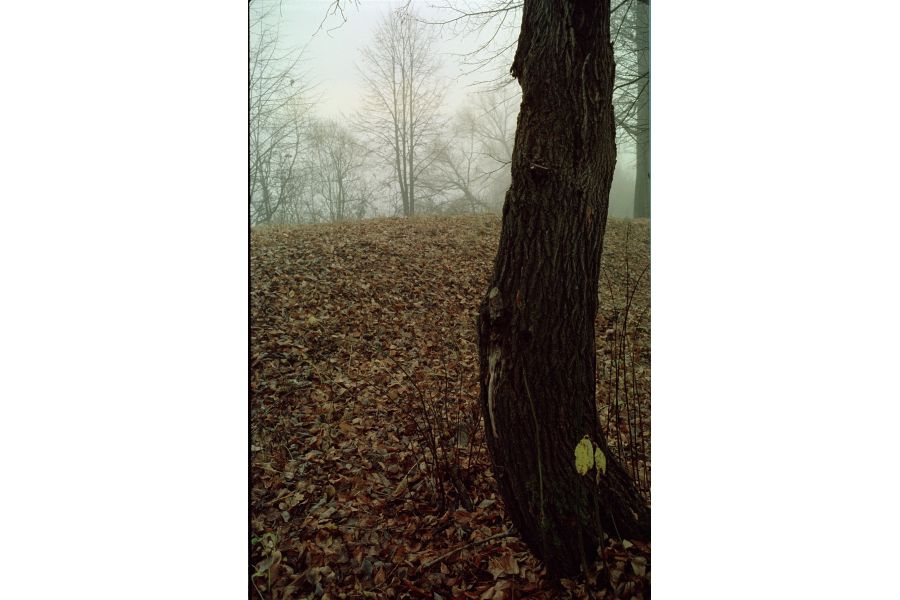 Olympus OM-System Zuiko MC Auto-Zoom 85-250mm f/5