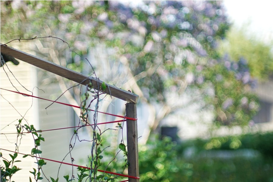 Canon FD 1,2/50mm (Japan, 1989)