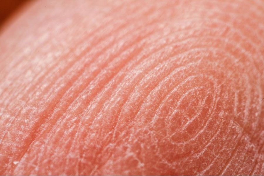 Zhongyi 20mm f/2 Super Macro for Nikon F