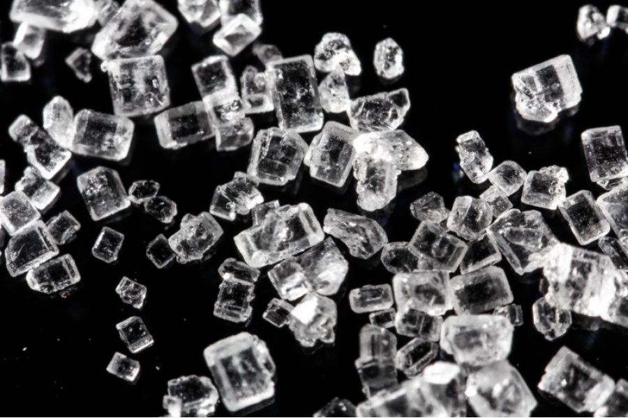 Zhongyi 20mm f/2 Super Macro for Nikon F