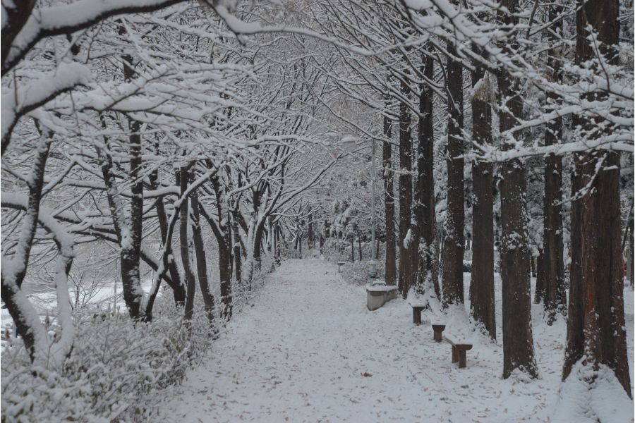 Nikon 24-85mm f/3.5-4.5G ED AF-S Nikkor в упаковке