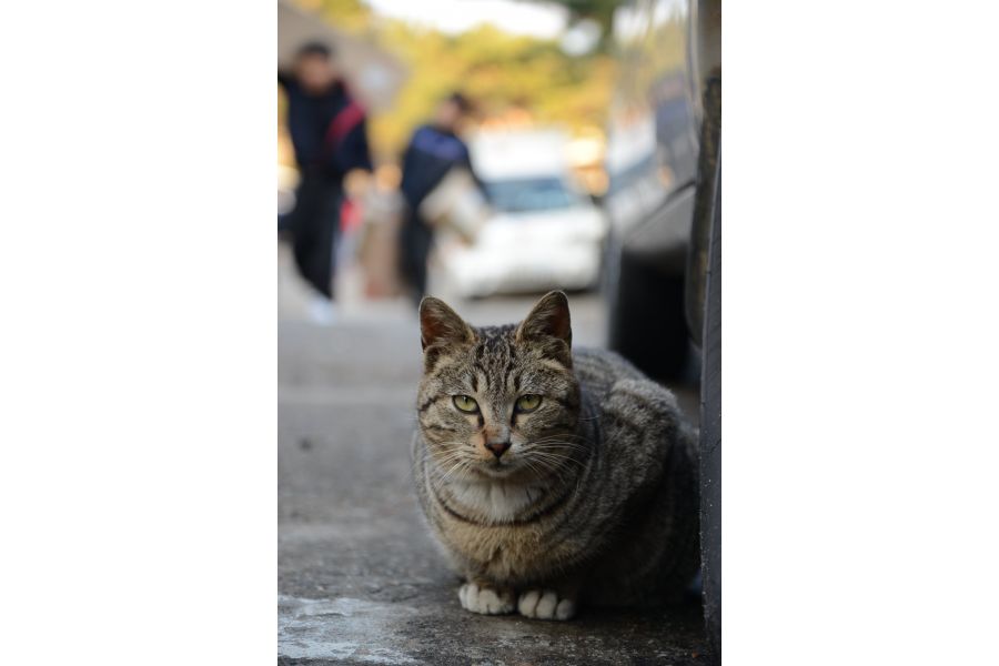 Nikon 24-85mm f/3.5-4.5G ED AF-S Nikkor в упаковке