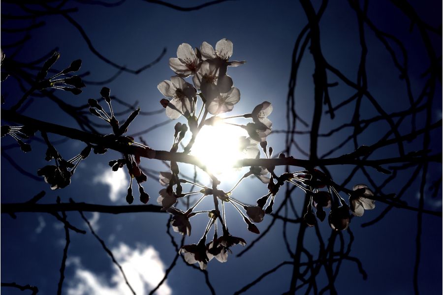 Nikon 24-85mm f/3.5-4.5G ED AF-S Nikkor в упаковке